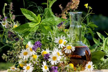 400_F_44810355_c2JKVW5nmg5omijDaOnCFsyp0M1lLKgn.jpg&width=360&xpos=32